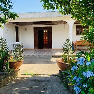 Guest house The Kapokier, Saint-Pierre